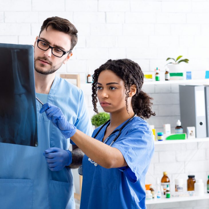 Veterinary radiology. Vet doctor with nurse examining animal xray at hospital, copy space. Panorama